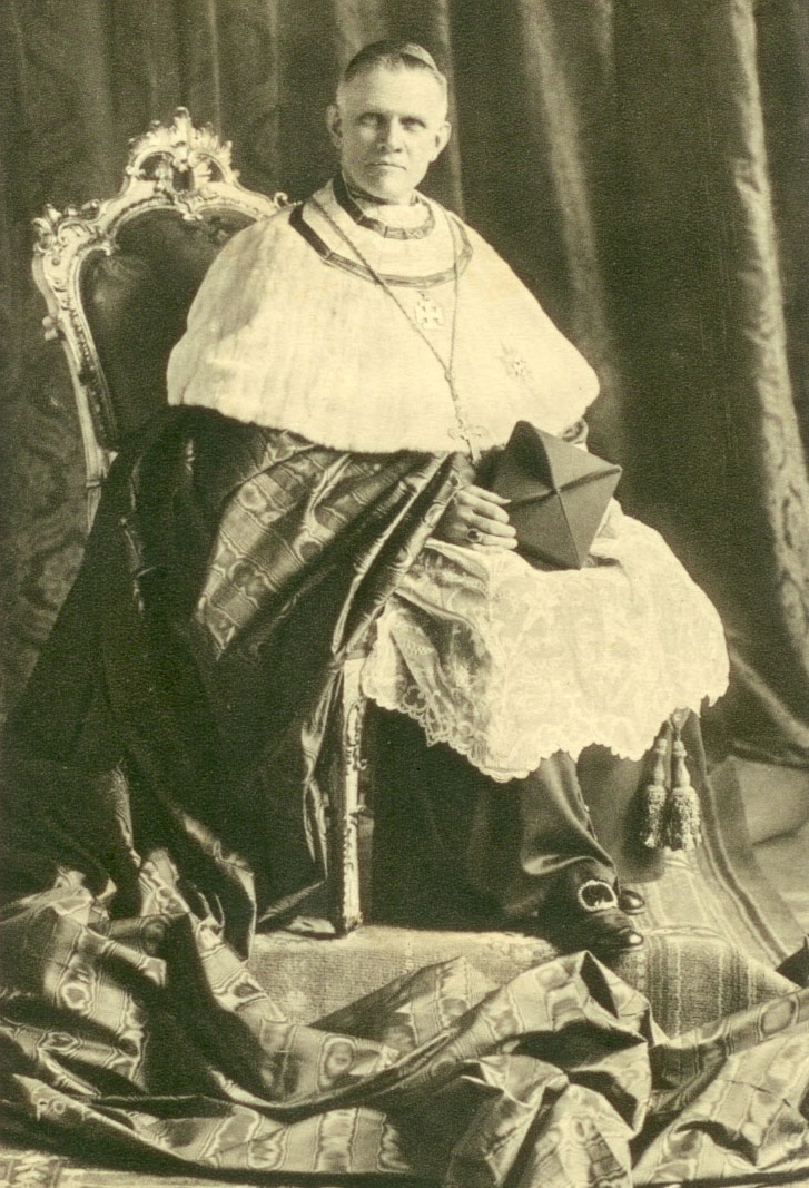 Innitzer, Theodor Kardinal <br/>Erzbischof